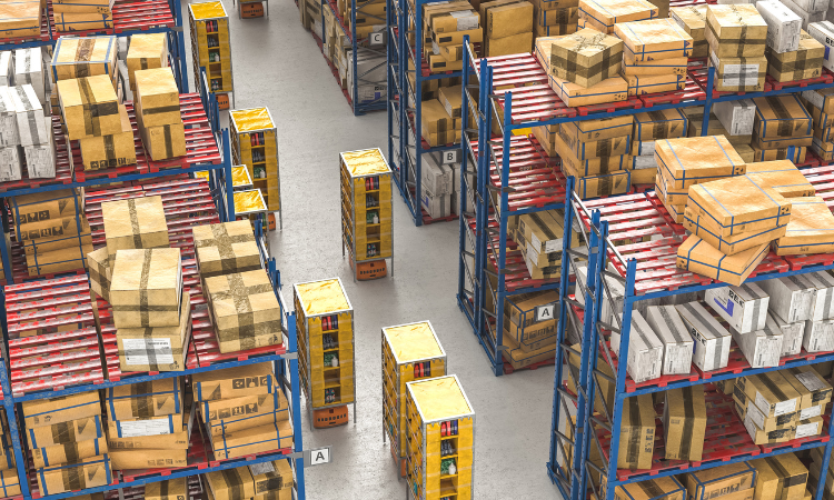 We ensure consistent, high-volume delivery of premium Moroccan produce through deep integration with trusted local farms, allowing you to plan with confidence and eliminate supply chain uncertainty.